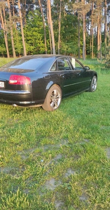 Audi A8 cena 24500 przebieg: 356000, rok produkcji 2003 z Kościan małe 22